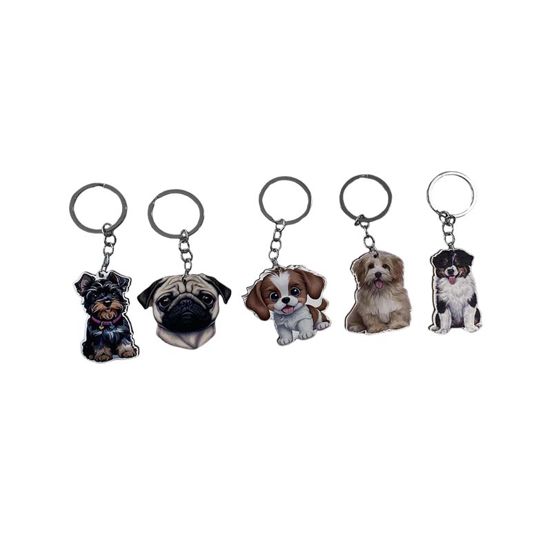 Cartoon Cat Oval DIY Printing Acrylic Gift