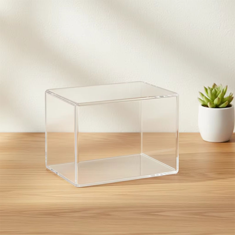 Custom Acrylic Display Box Collection Storage Case