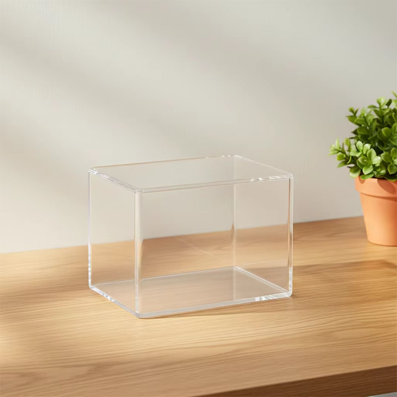 Custom Acrylic Display Box Collection Storage Case